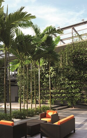 Jardim