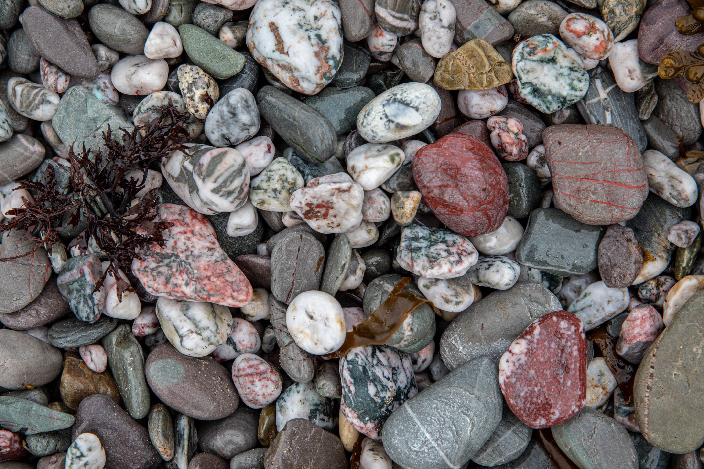 A collection of variously shaped and colored stones.