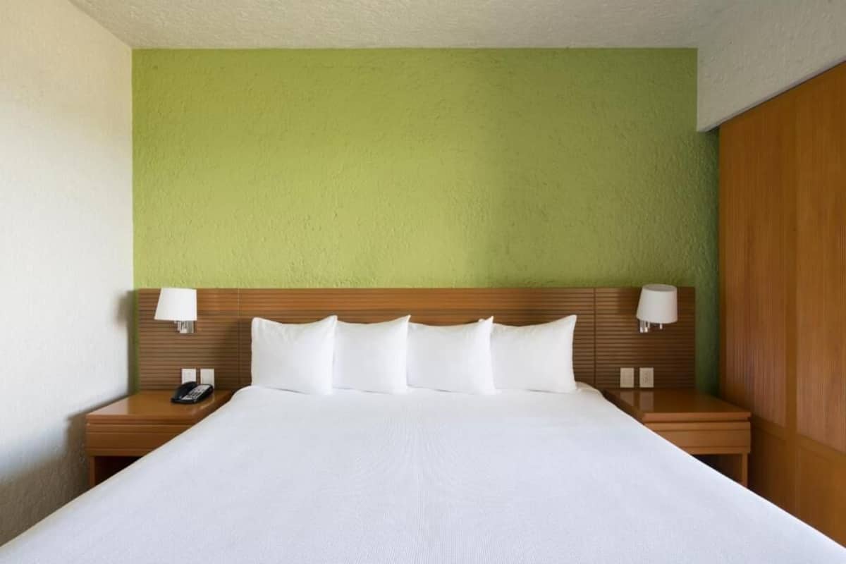 開放式客房, 1 張特大雙人床, 按摩浴缸 | 客房內保險箱、熨斗/熨衣板、免費搖籃/嬰兒床、網路服務