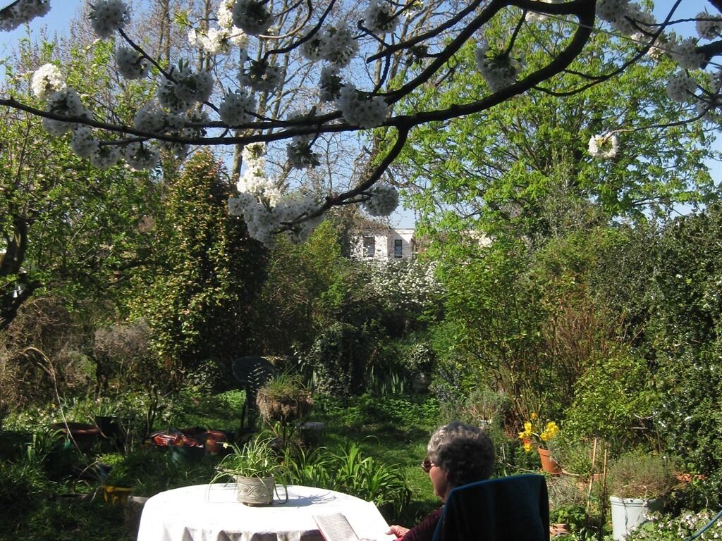 Un jardín con una mesa y sillas, rodeado de exuberante follaje y árboles en flor.
