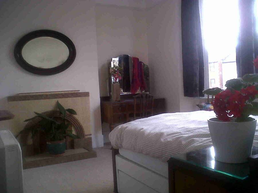 Un dormitorio con cama, cómoda, espejo y planta en maceta.