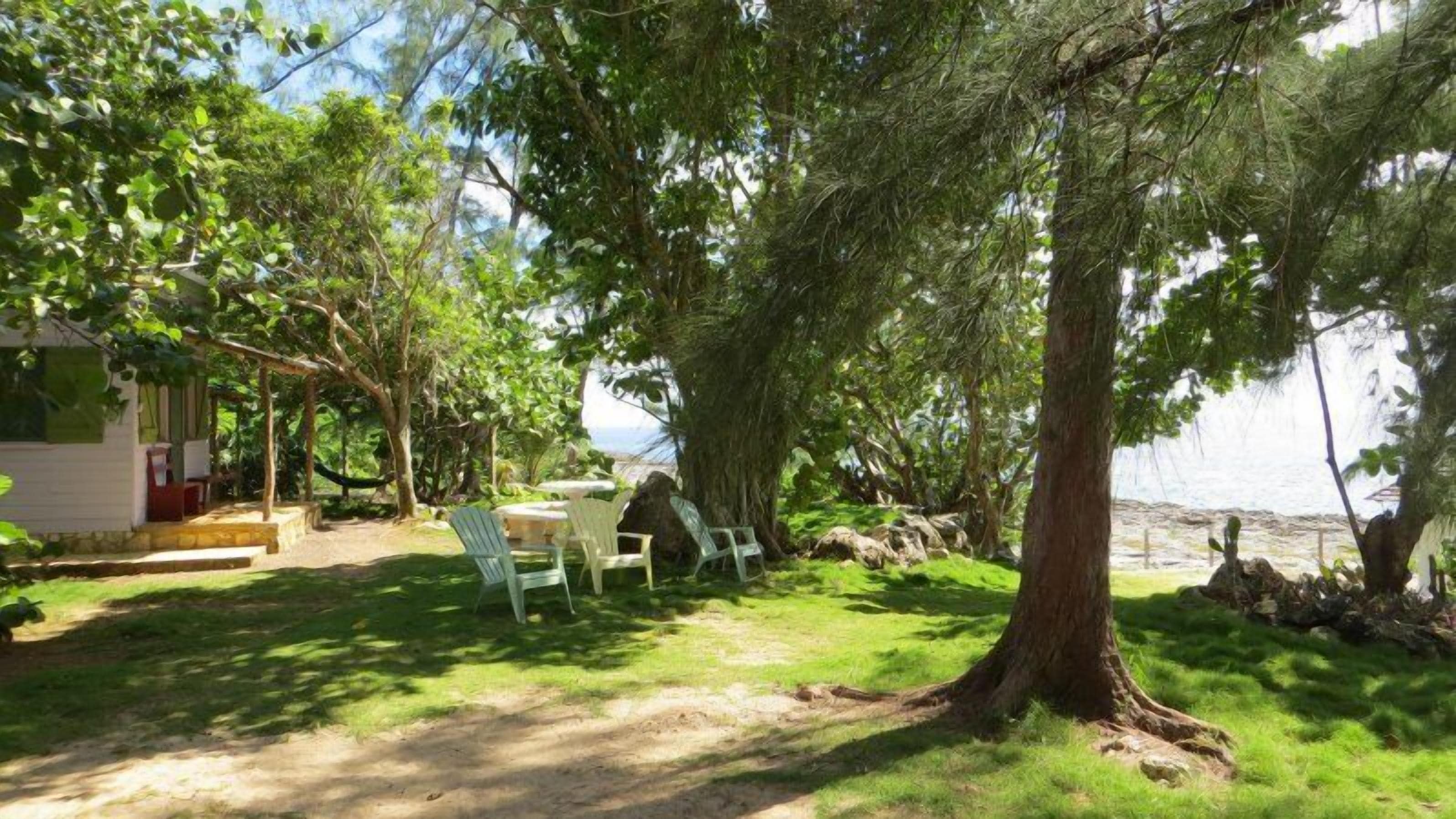 A patio area with a table and chairs, surrounded by trees and a view of the sea.