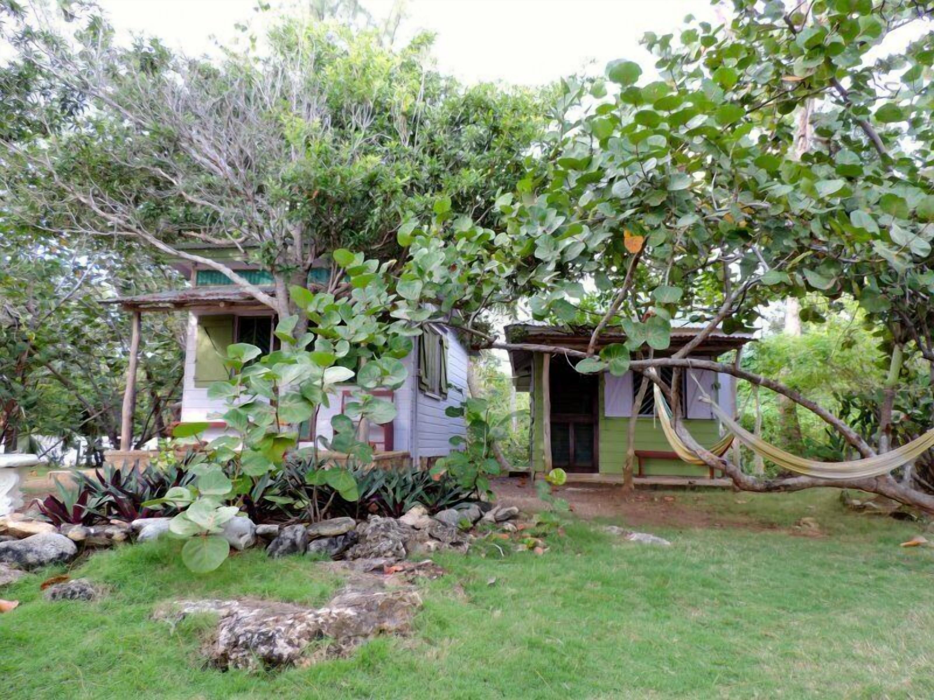 A rustic house with a small porch, surrounded by lush greenery and a hammock.