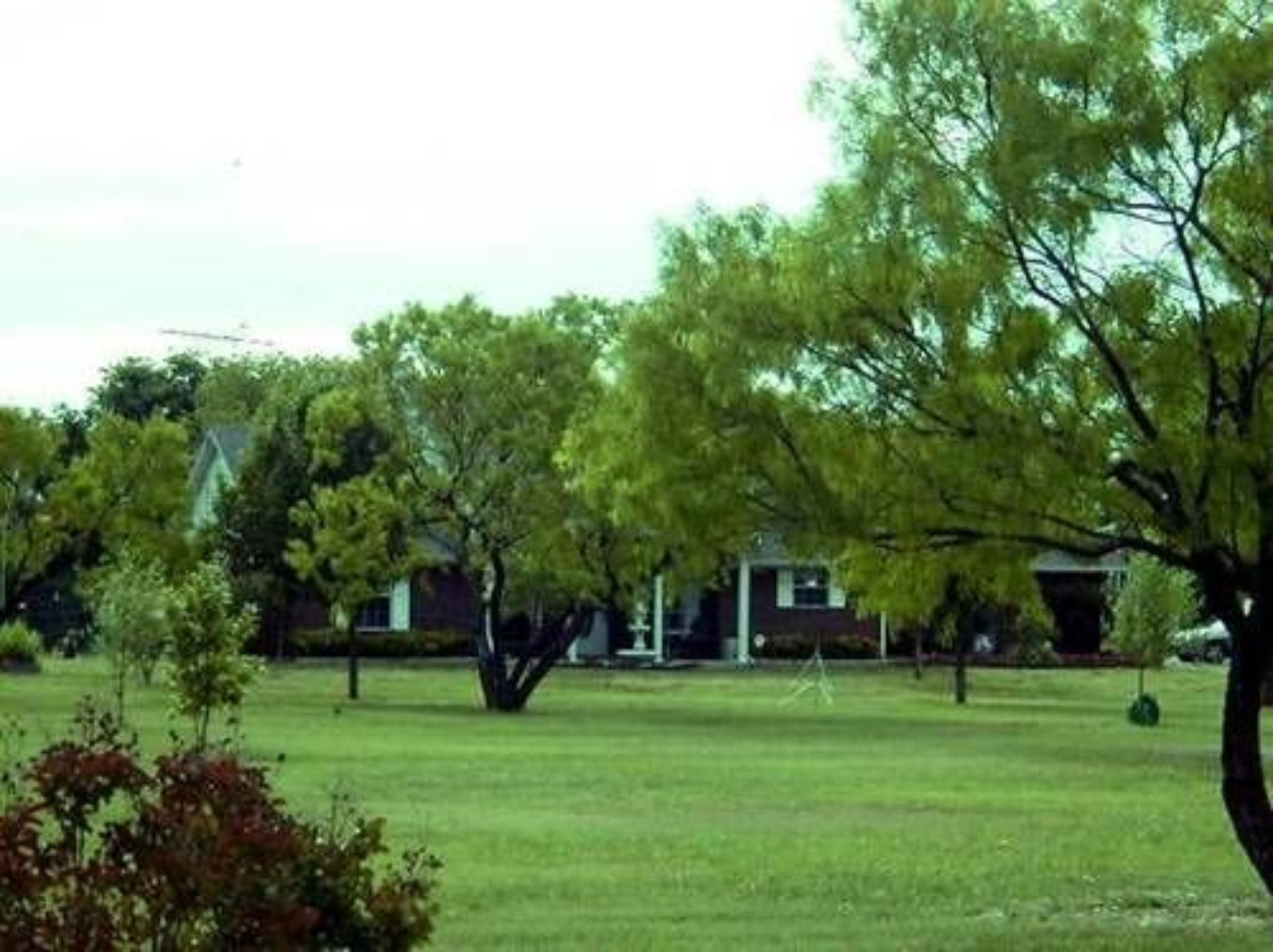 A residential area with houses, a grassy lawn, and trees.