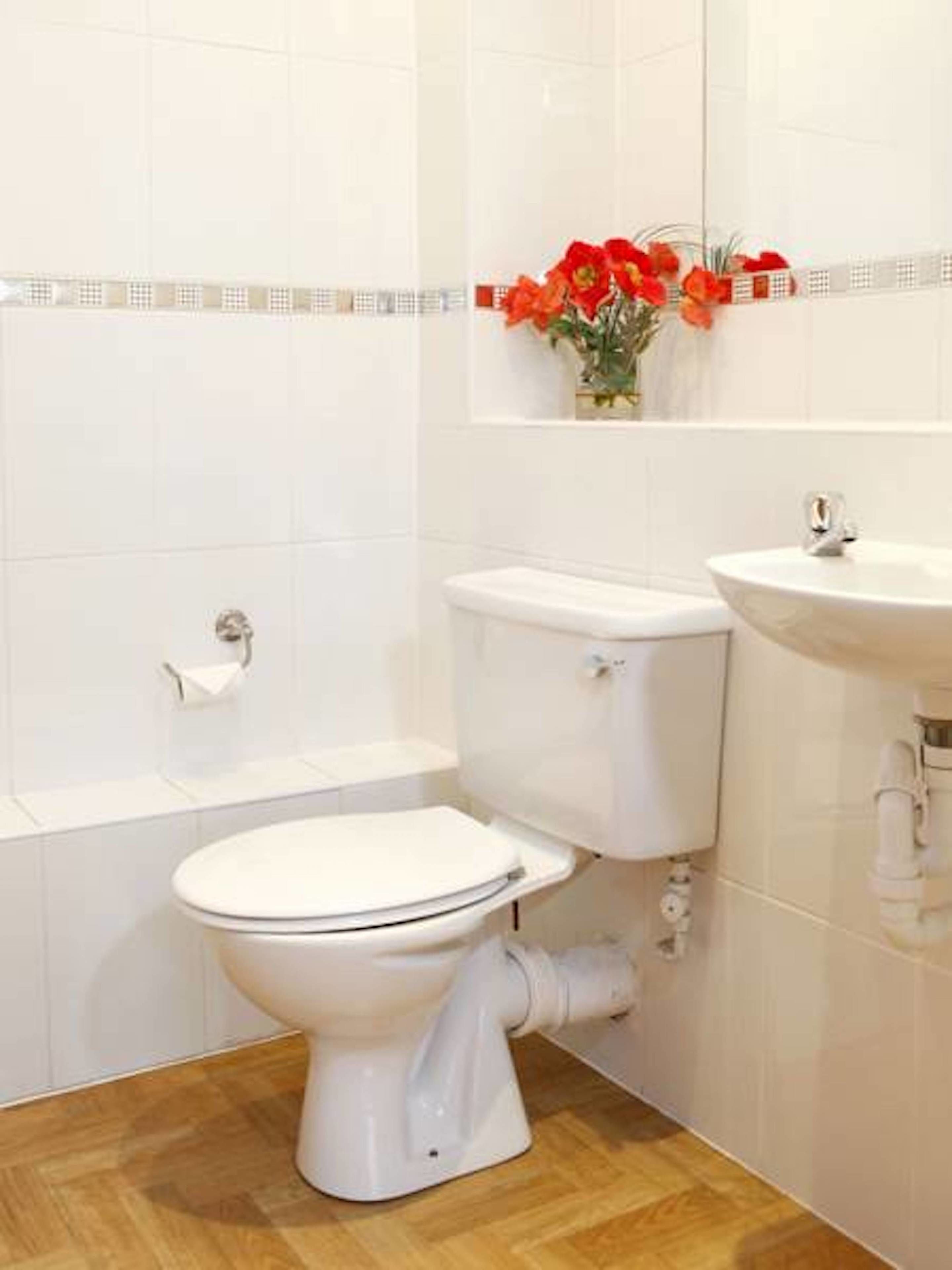 Bathroom | Hair dryer