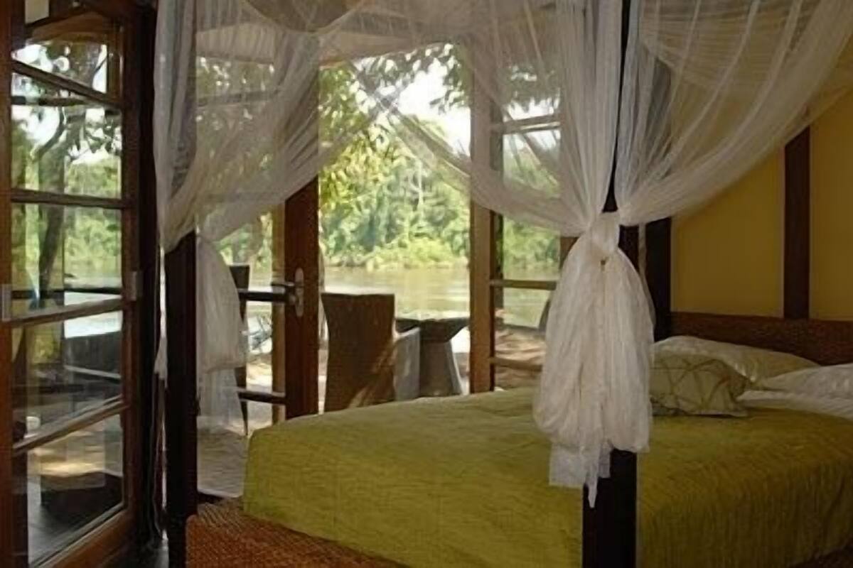 A room with a bed, a window, and a view of greenery outside.