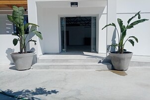 A building entrance with a set of concrete steps leading up to a glass door. There are two potted plants on either side of the entrance.