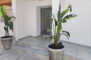 Entrada de un edificio con puerta de cristal, plantas en macetas y una escalera de hormigón.