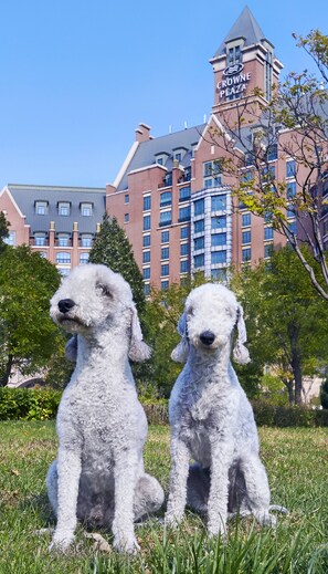 Dos perros sentados sobre la hierba frente a un edificio con una torre que dice "CROWNE PLAZA".