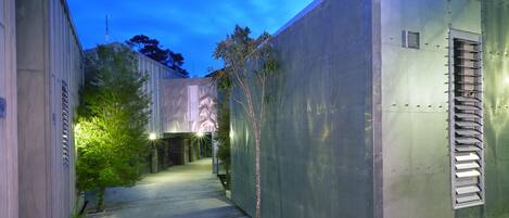 A narrow pathway flanked by buildings with a small tree and a ladder on one side.