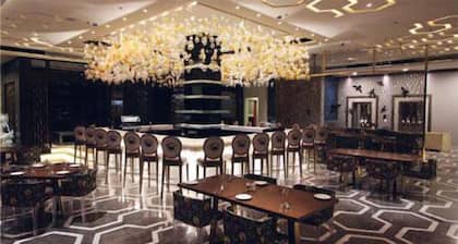The Hotel Hindusthan International