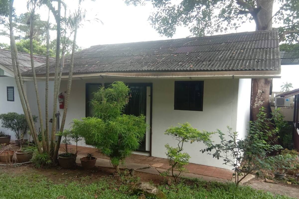 A small, single-story building with a tiled roof and a white exterior. There are several potted plants and a small tree in the front yard.