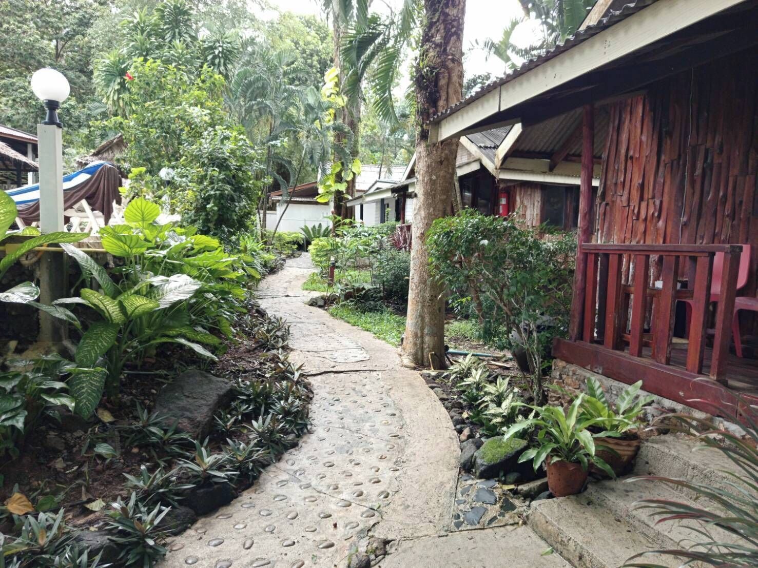 Photo - Faye Orchid Resort