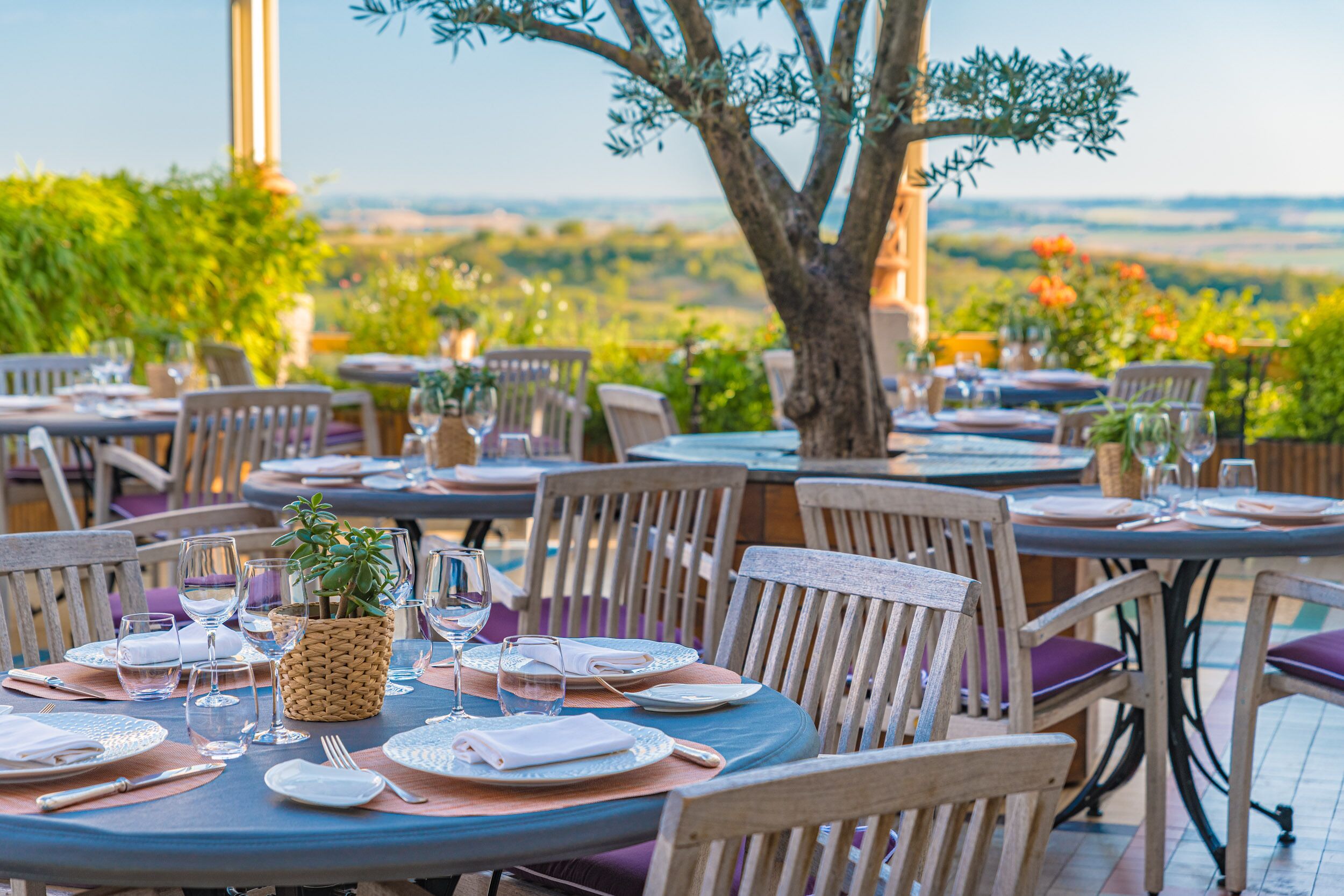breakfast, lunch, dinner served; french cuisine, garden views