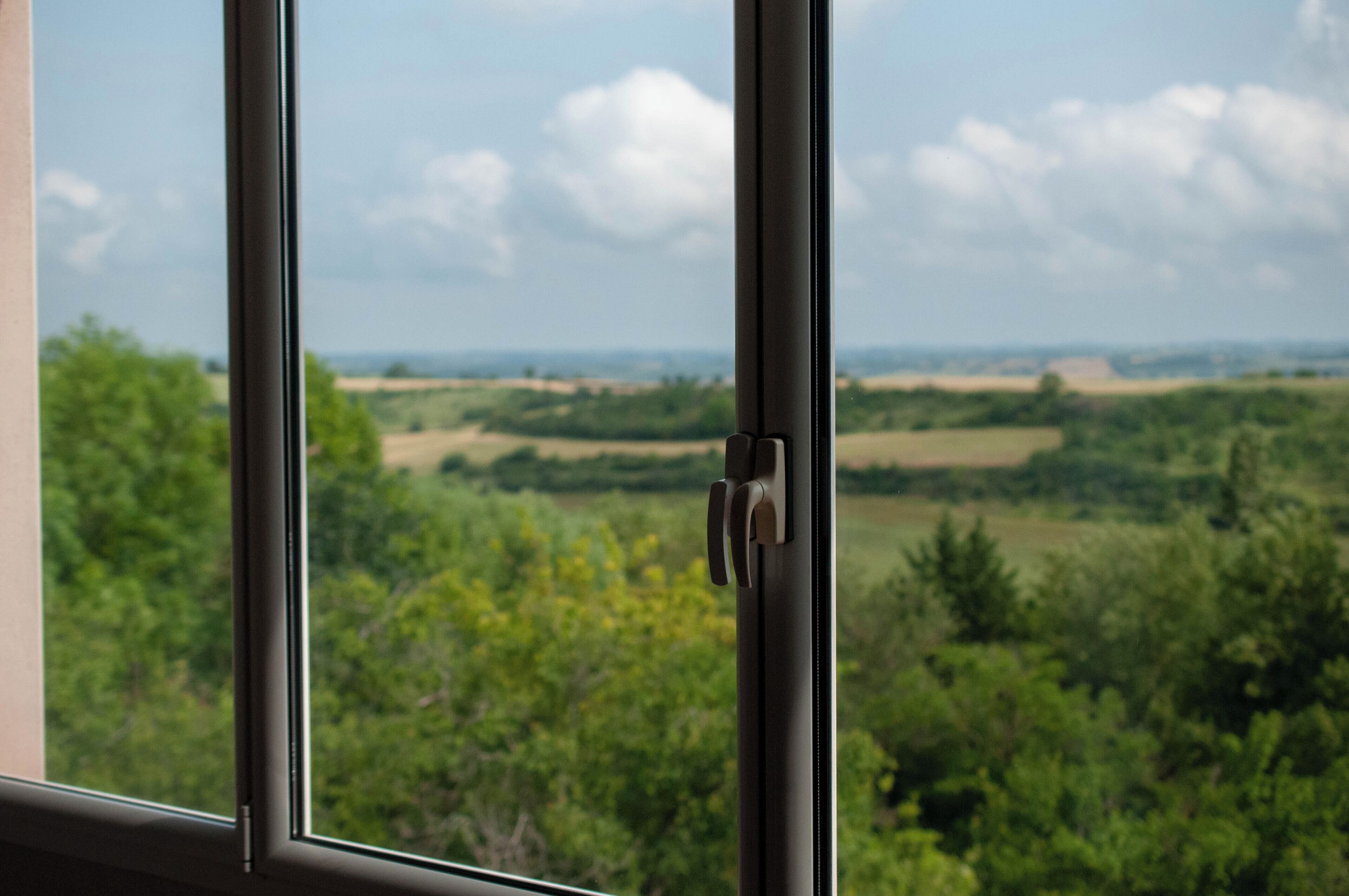 A window with a view of a green landscape, including trees and fields.