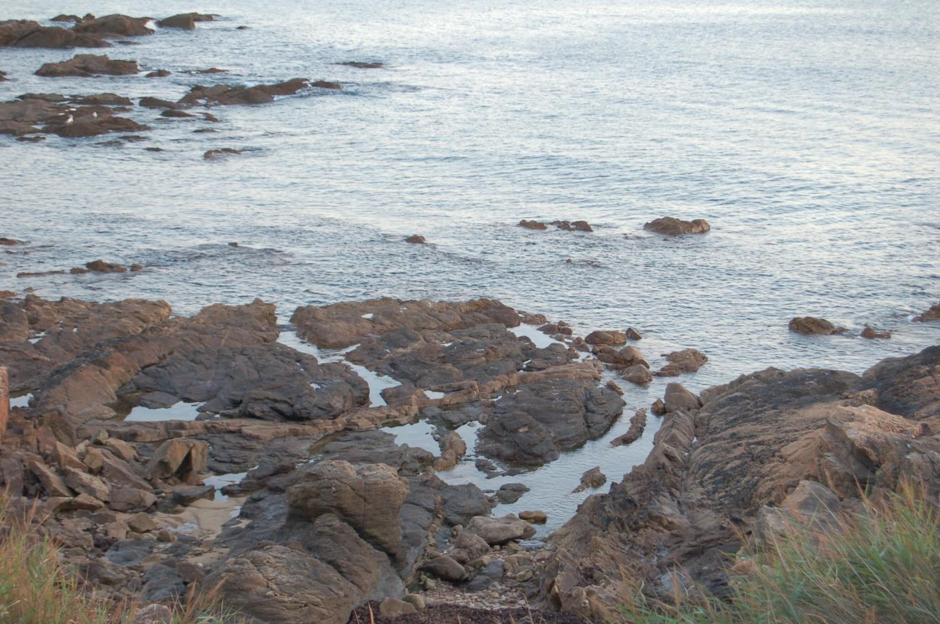 A rocky shoreline with water and some vegetation.