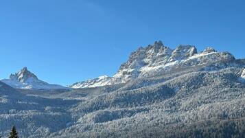 Un paysage de montagne avec des sommets enneigés et une forêt dense.