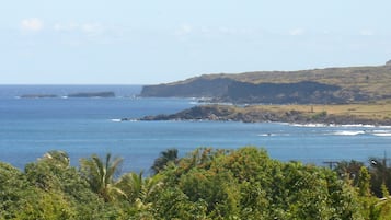 Vista desde la propiedad