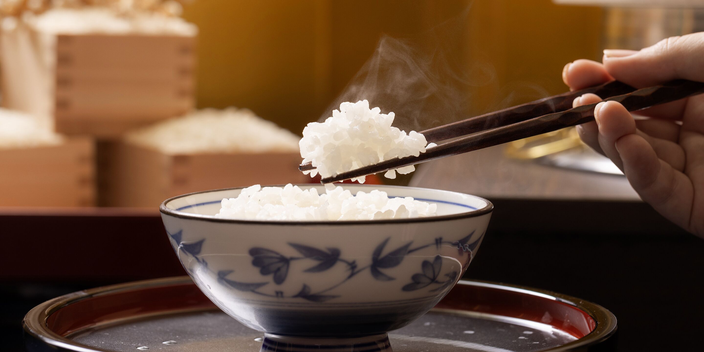 A bowl of white rice with steam rising from it, held by chopsticks.