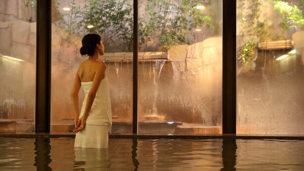 A person standing in a water feature area with a view of a rocky landscape and trees through a glass partition. - Nagoya Crown Hotel (Nagoya)