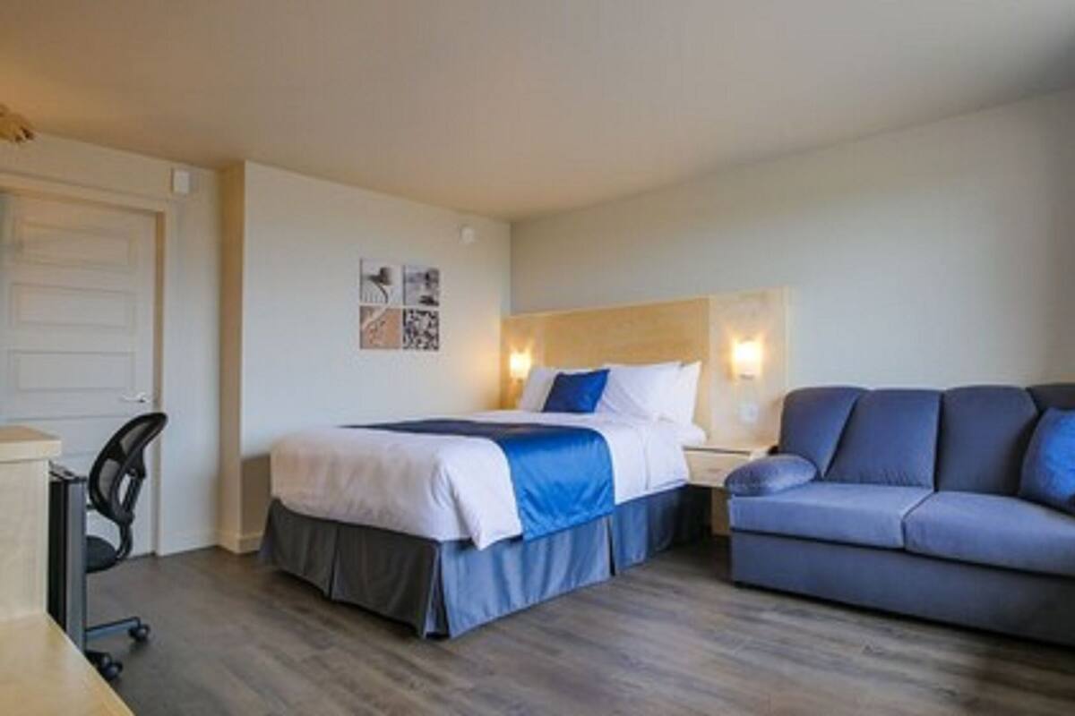 Una habitación de hotel con una cama, un sofá, un escritorio y una silla.