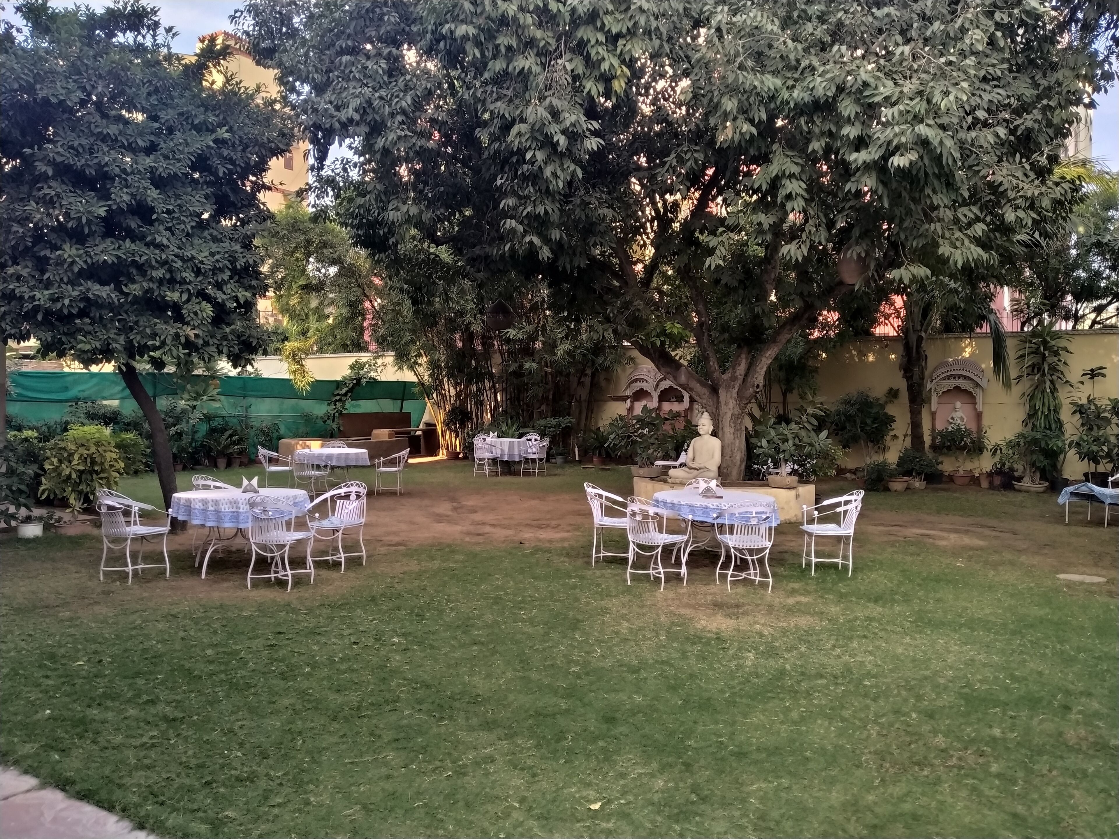 An outdoor seating area with tables and chairs under a large tree, surrounded by potted plants and a decorative statue.