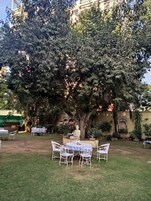 Um jardim com uma grande árvore, cadeiras de metal branco e uma mesa.