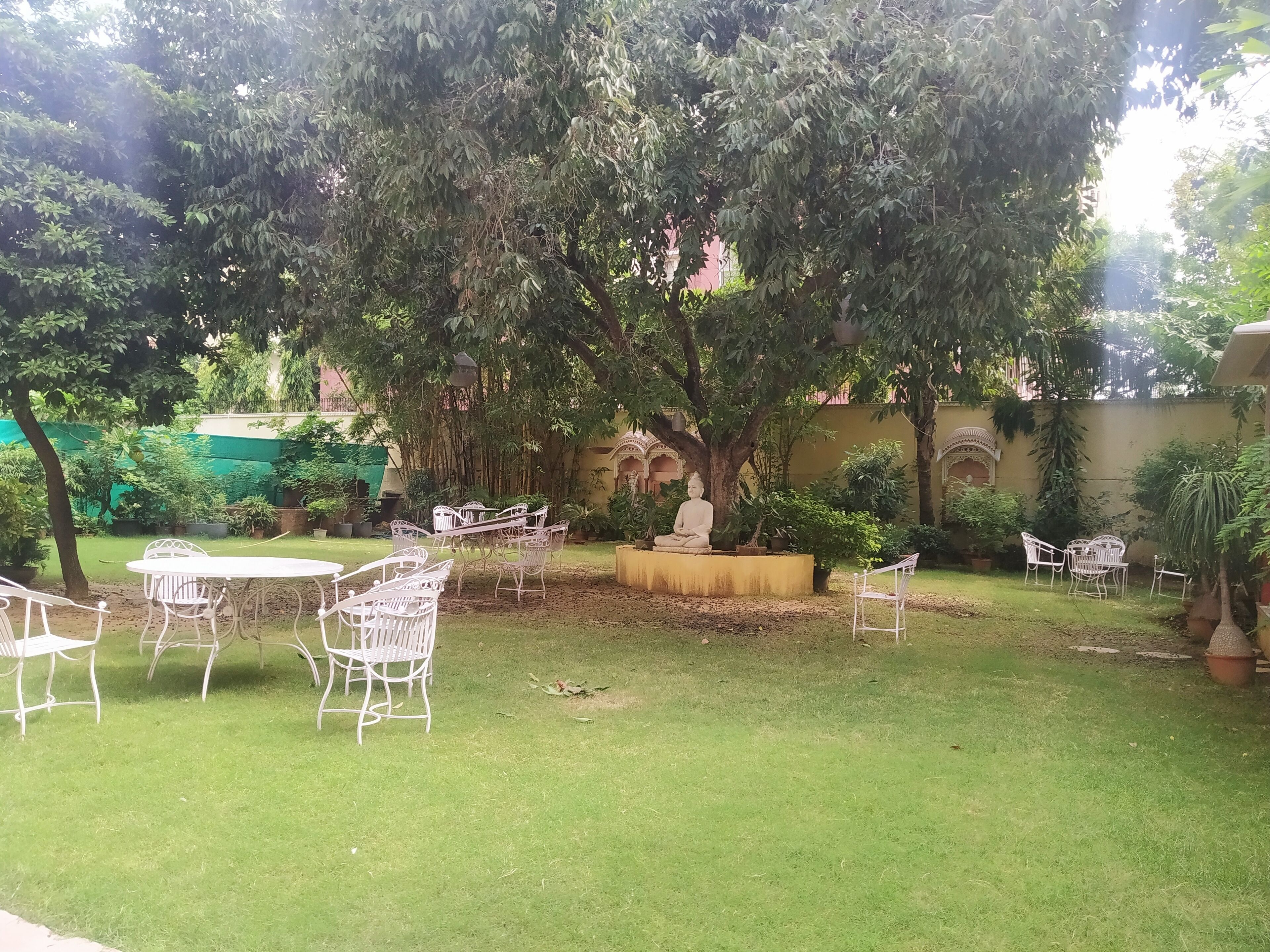 A courtyard with white metal chairs and tables, surrounded by lush greenery and a large tree.