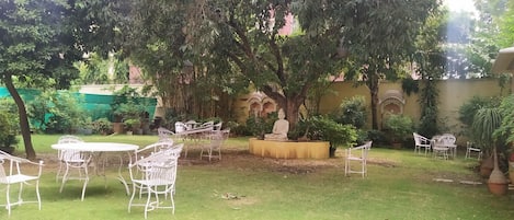 A courtyard with white metal chairs and tables, surrounded by lush greenery and a large tree.