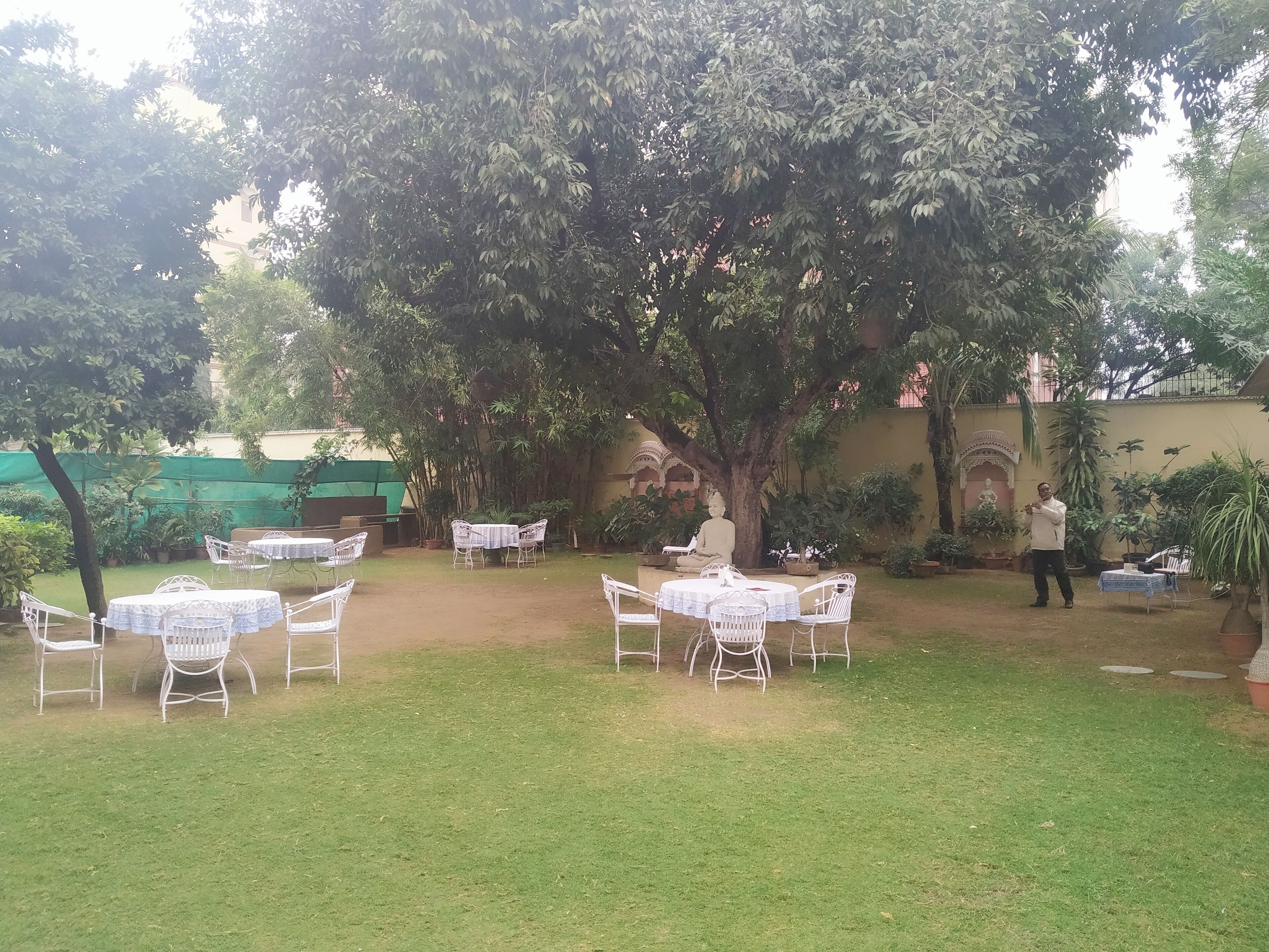 An outdoor seating area with tables and chairs under a large tree.