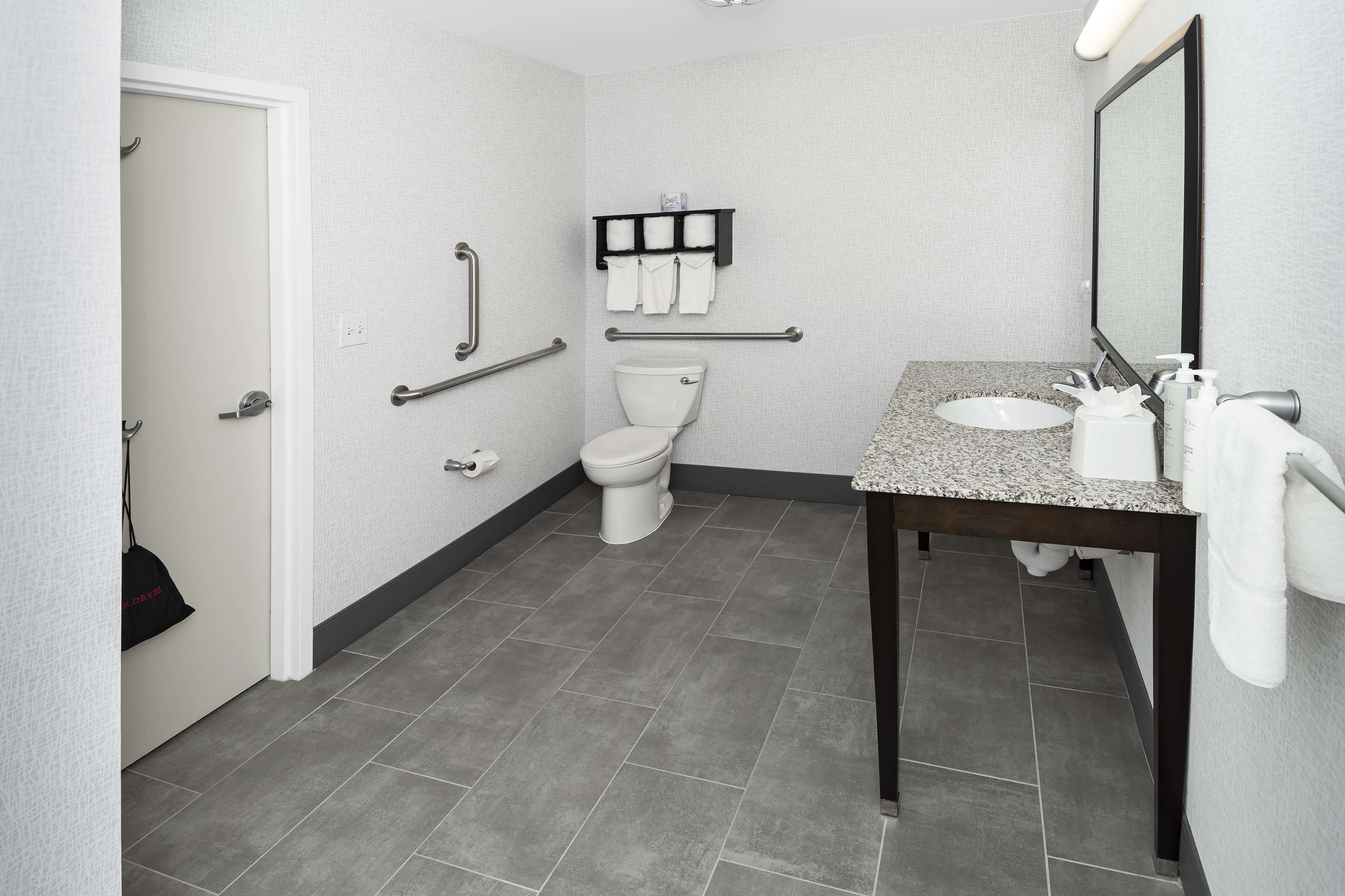A modern bathroom with a toilet, grab bars, a sink, and a mirror.