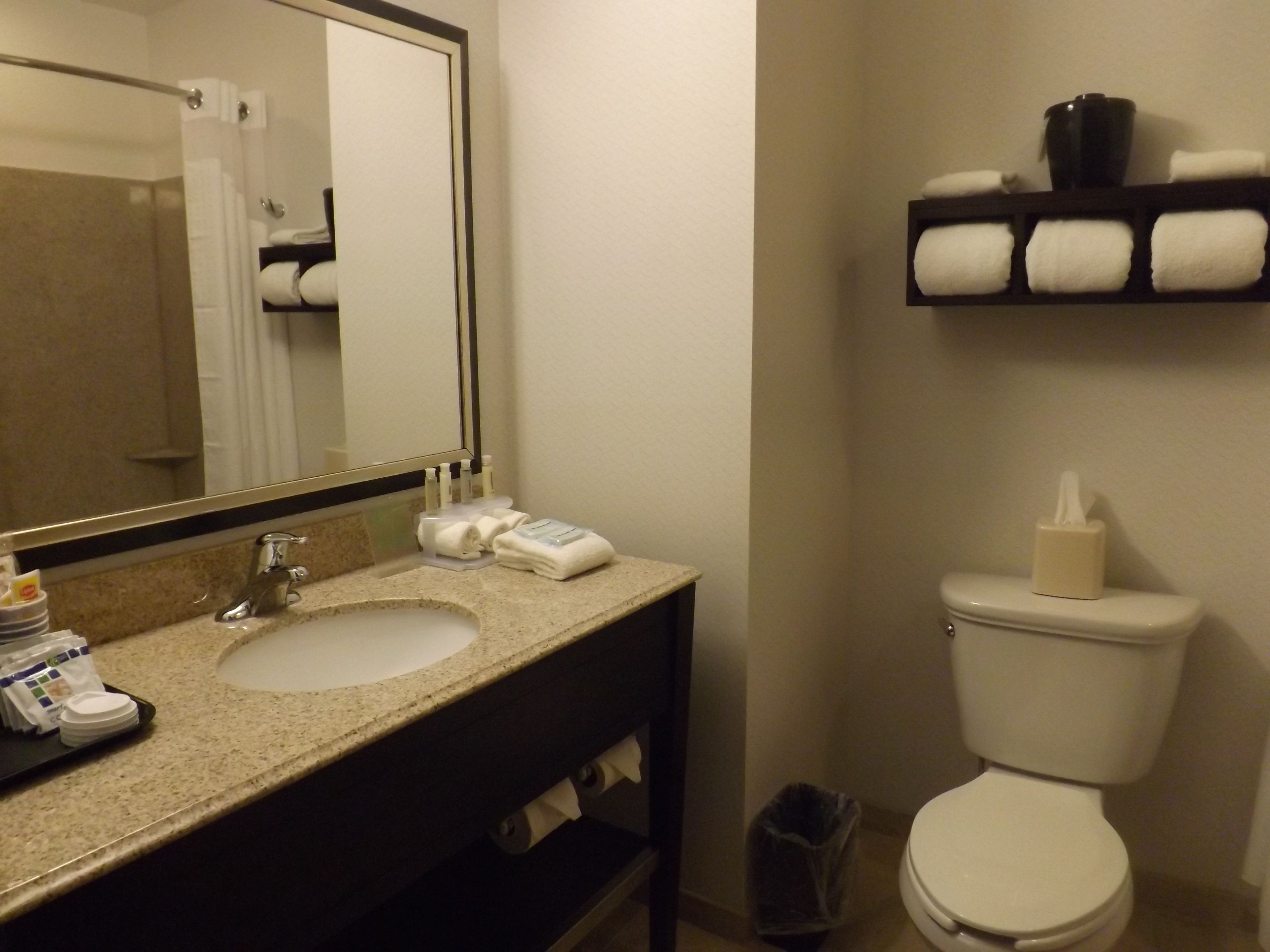 combined shower/bathtub, free toiletries, hair dryer, towels