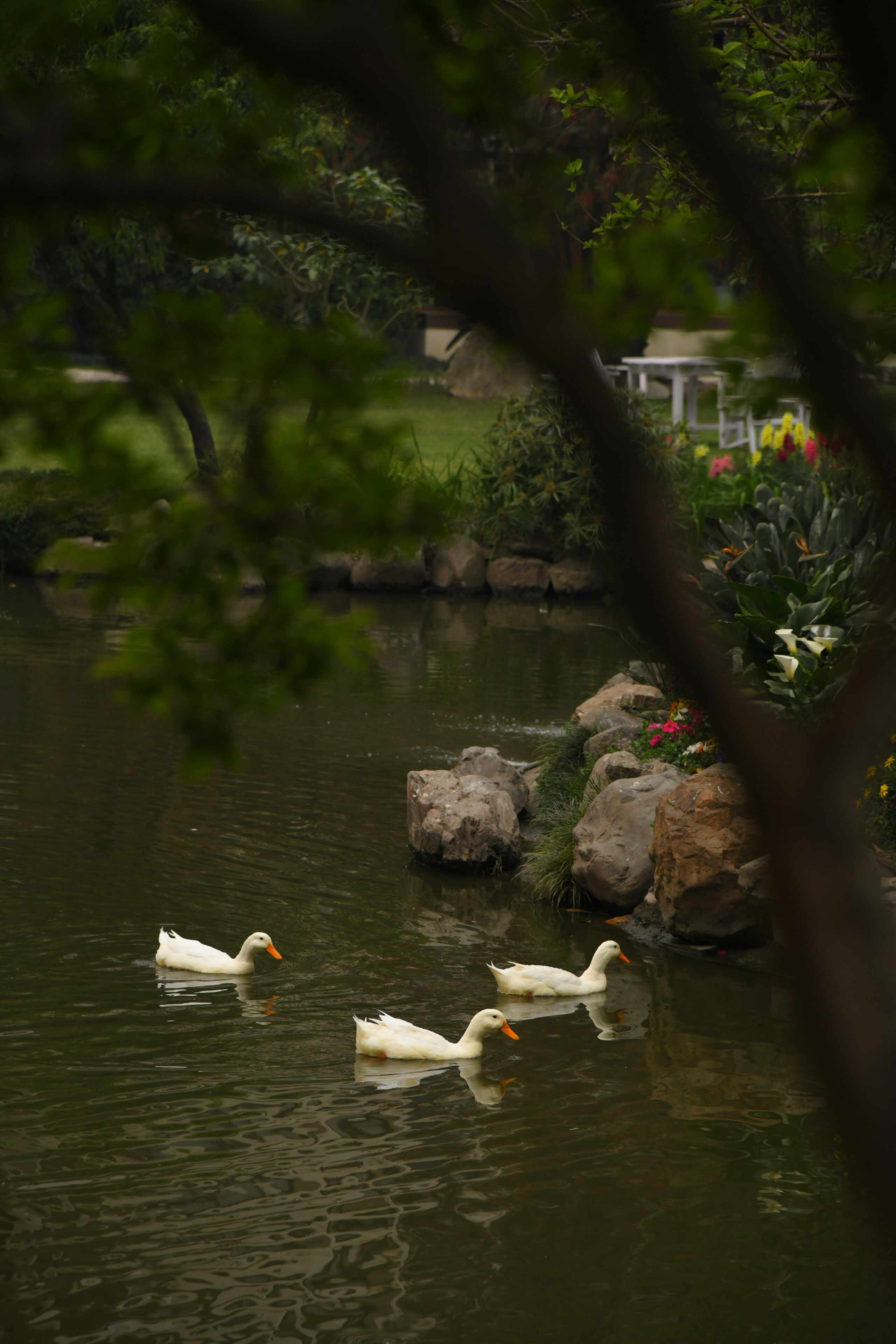 Photo - Hotel Yak & Yeti