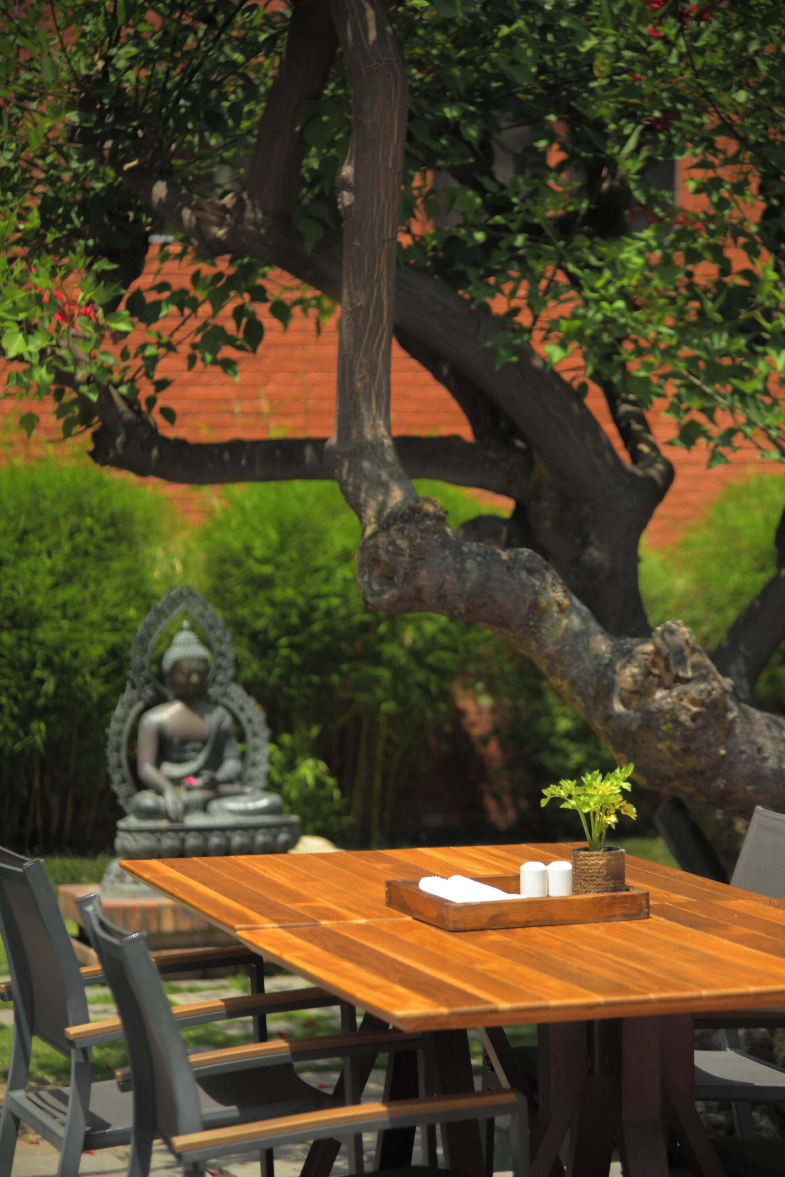 Photo - Hotel Yak & Yeti