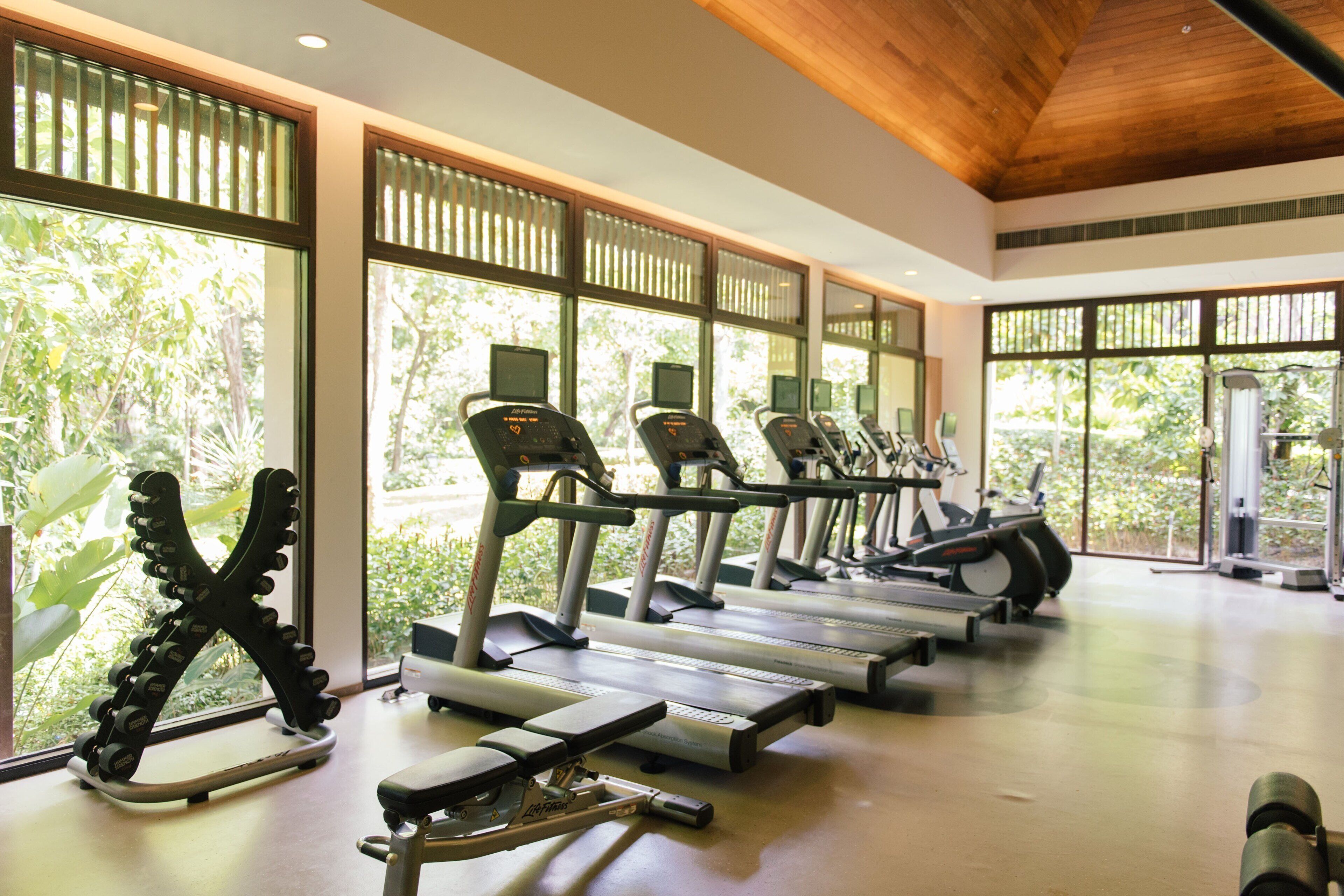 A gym with treadmills and weight machines, large windows with a view of greenery, and a wooden ceiling.