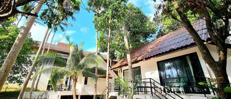 Zona residencial con una casa de techo a tejas, una escalera y un pequeño jardín con palmeras.