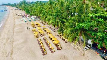 Une plage bordée de rangées de chaises longues et de parasols, de palmiers, et offrant une vue dégagée sur la mer.