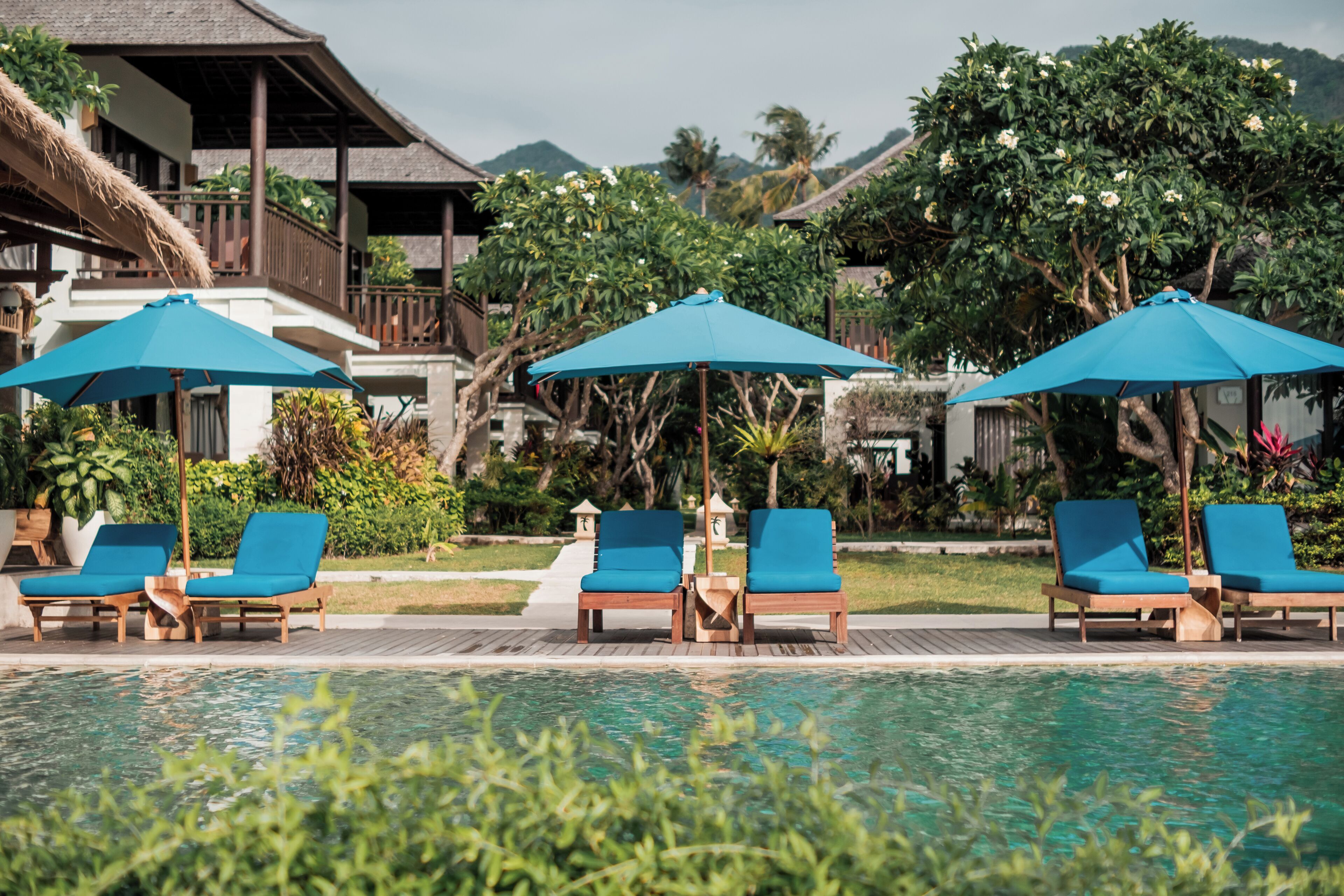 A poolside area with lounge chairs and umbrellas, surrounded by lush greenery and a building with a thatched roof.