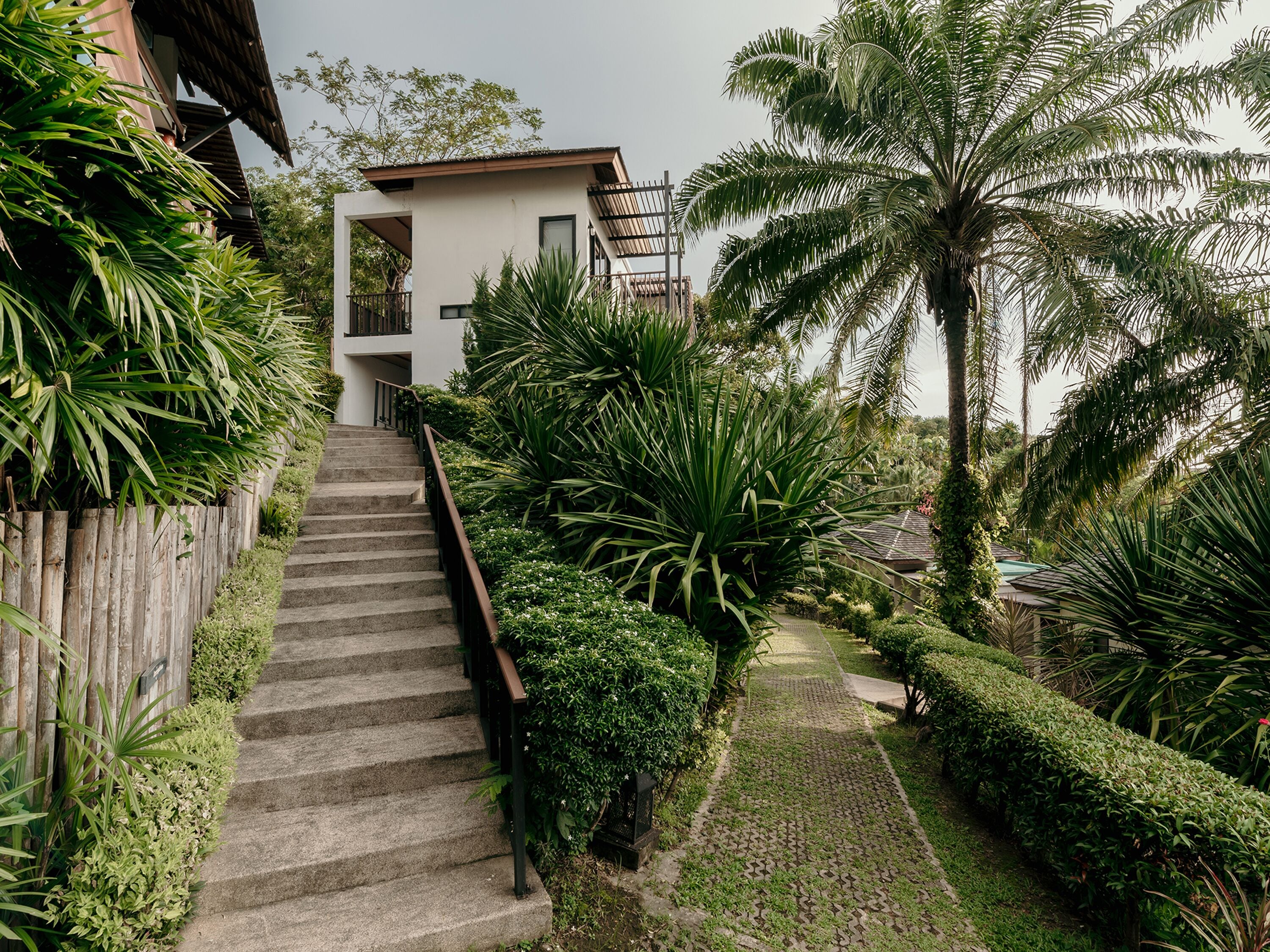 Foto - The Mangrove Phuket by Blu Monkey