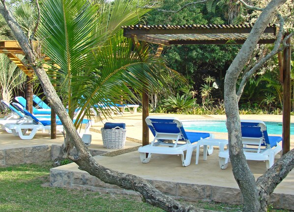 Outdoor pool, pool umbrellas, pool loungers
