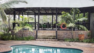 Outdoor pool, pool umbrellas, pool loungers