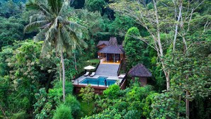 Una villa apartada con piscina, rodeada de exuberante vegetación y un telón de fondo montañoso.