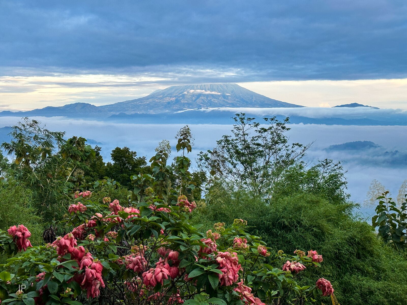 deluxe villa, 2 bedrooms, private pool | terrace/patio