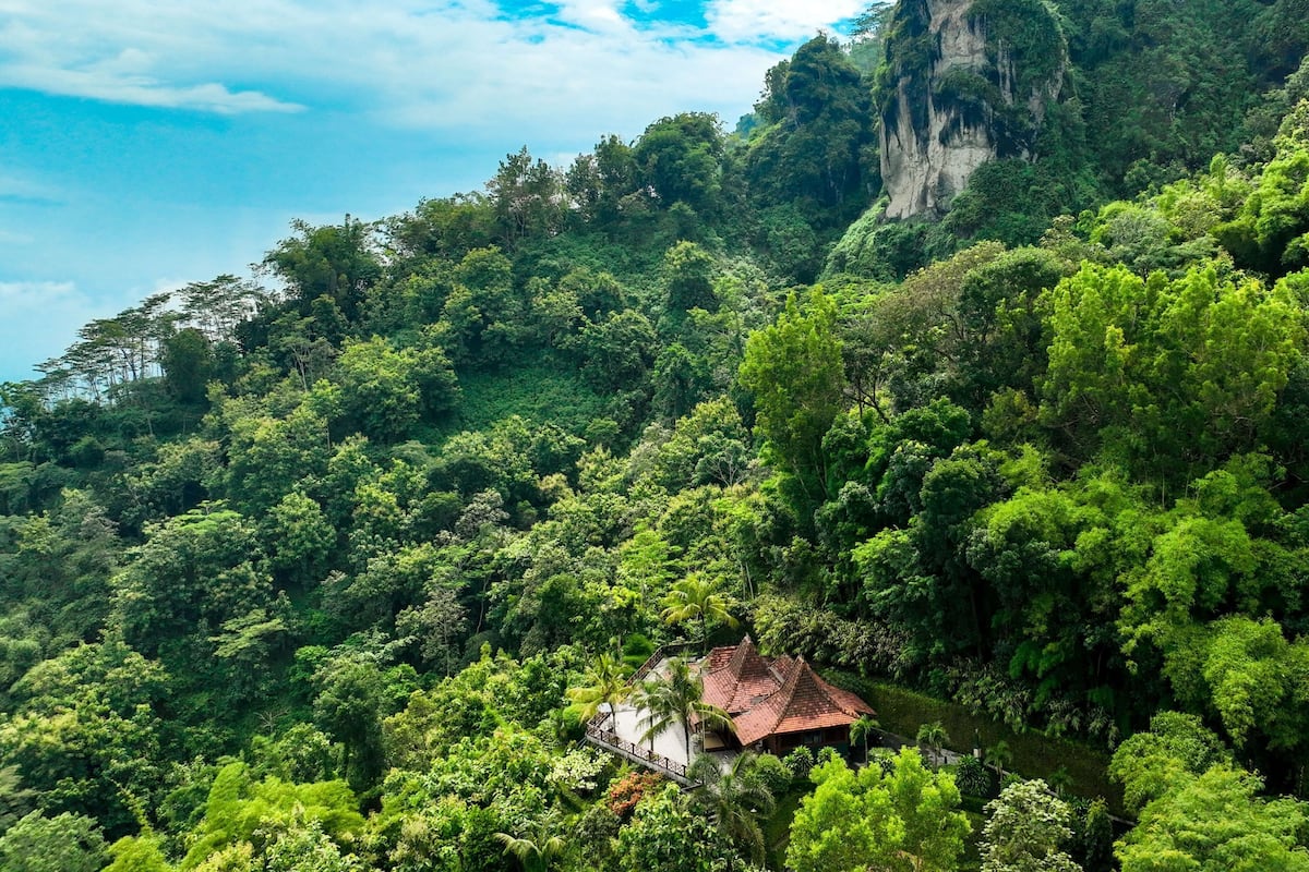 A lush green landscape with a small house nestled among dense foliage.