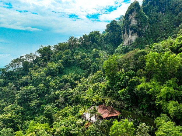 Un paisaje verde y exuberante con una pequeña casa enclavada entre follaje denso.