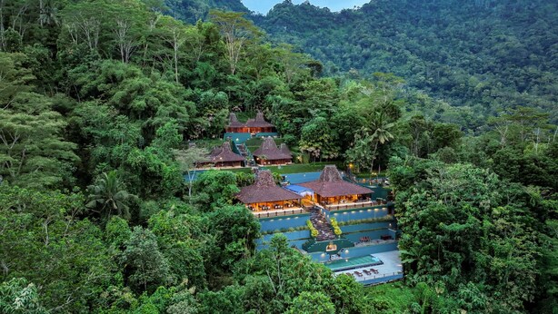 Un resort con varias cabañas de techo de paja rodeado de un bosque denso.