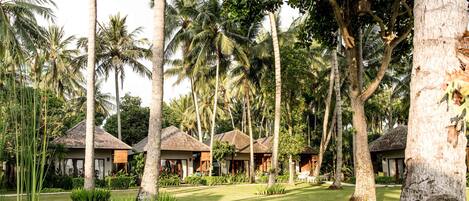 A resort with multiple bungalow-style accommodations surrounded by lush greenery and palm trees.
