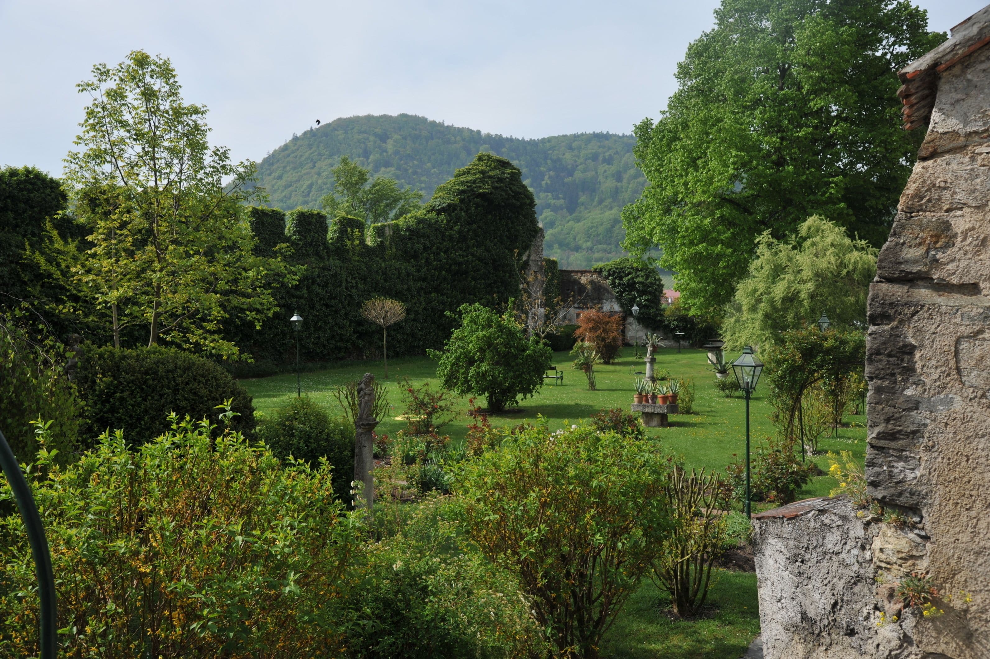 A lush garden with a variety of trees and shrubs, a stone wall, and a bench.