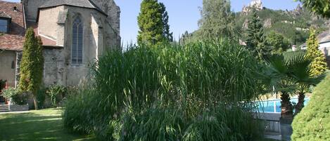 Ein Steinhaus mit einem großen Fenster und einem Garten mit hohem Gras und Bäumen.