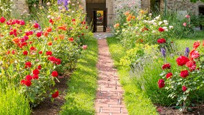 A stone building with a brick pathway leading to an entrance. - Richard Löwenherz (Durnstein)